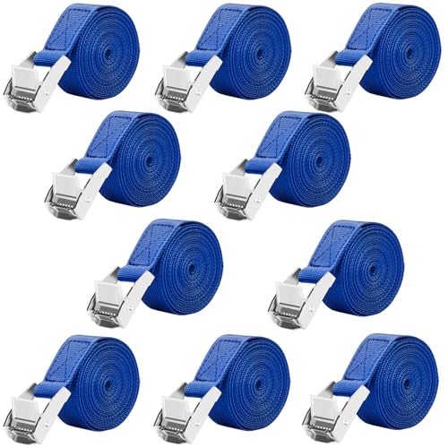 LUZOON Spanngurte 10 Stück-2.5M Spanngurt Zurrgurte mit Ratsche Belastbar bis 250 kg (10 Stück Blau–2.5 m x 25 mm)