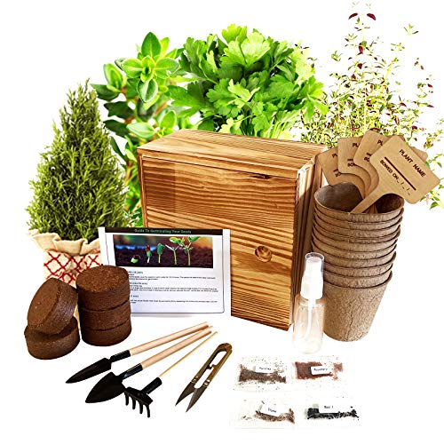 Hand-Mart 4 Herb Seeds Complete with Wood Planter Starter Kit Grow Indoor, Basil Parsley Rosemary Thyme, Including Soil, Pots, 3 Garden-Tool, Pruner, Sprayer, Plant Labels, Wood Box. Great Gift.