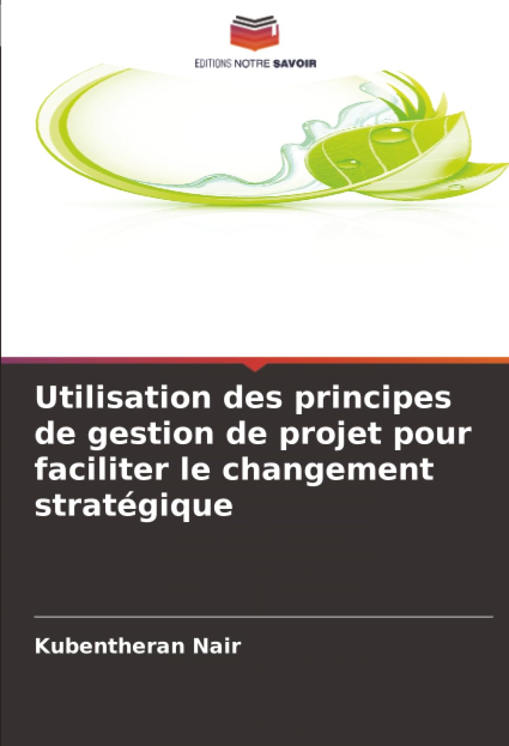 Utilisation des principes de gestion de projet pour faciliter le changement stratégique