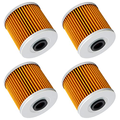 Road Passion Filtro Olio per KAWASAKI KLR600 KL600...