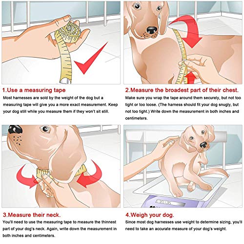 Brother Cat Dog Puppy Small Dog/Cat Dots Vest Harness Leash Set Mesh Padded No Pull Lead Pink Xl #TOP4