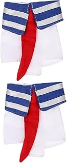 Balacoo 2 Pçs Roupas De Pássaro De Estimação Decoração De Coelho Acessórios De Gatinho Traje De Pássaro Roupas De Papagaio Elegantes Traje De Papagaio Roupas De Papagaio Decoração De