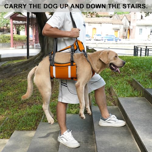 COODEO Mobility Hundegeschirr zum Heben, Notfall-Trageschlaufe, Haustier-Heckbeinstütze, Rehabilitationsweste, Hundetrage für ältere Hunde, Gelenkverletzungen, Arthritis (Orange, L)