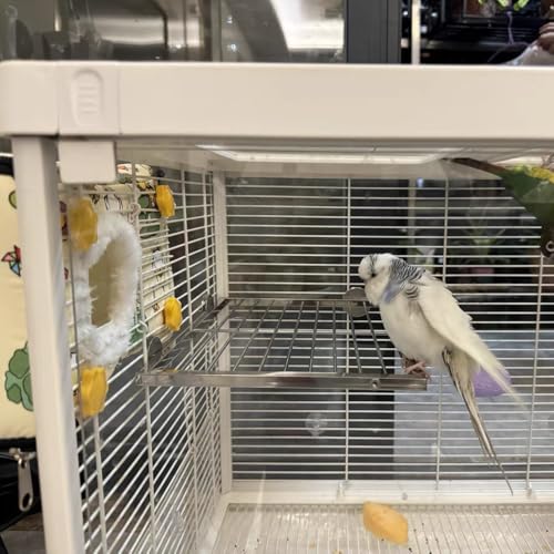 Image of Stainless Steel Bird Platform & Climbing Ladder Set (1 Platform + 1 Ladder) - Durable, Washable Cage Perch for Parakeets, Cockatiels, Conures (S)