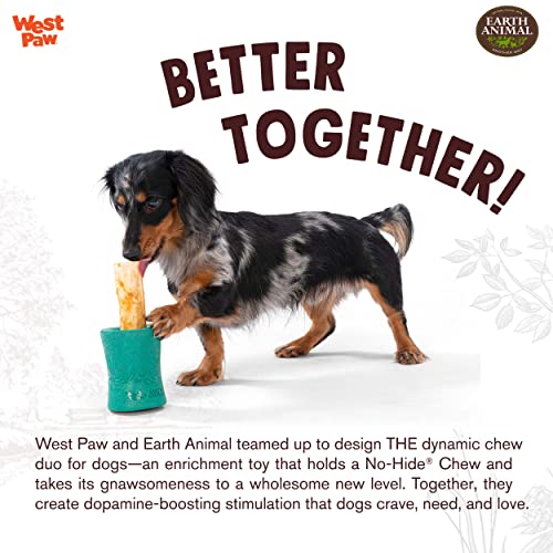 Jouet pour chien destructeur WEST PAW Funnl interactif à remplir