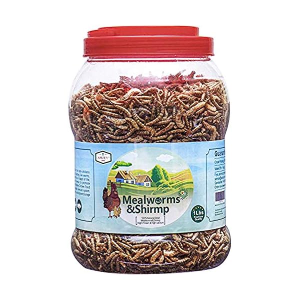 Amzey Shrimp & Mealworms 100 NonGMO Dried Mealworms HighProtein