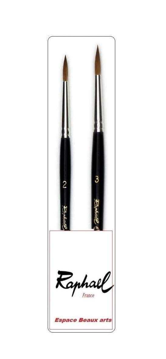 Pinceau Raphael Series 8404 ,kolinsky Rouge Sable Pinceau Set 2 pcs,Taille 2, 3 . (Raphael France)