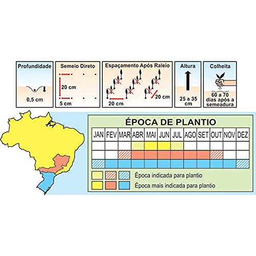 Sementes de Agrião de Agua Folha Larga (Francês) Pcte C/ 100 Gramas