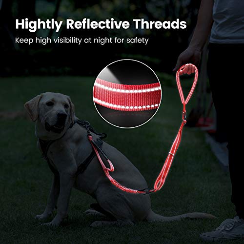 Iokheira Guinzaglio per Cani, Lunghezza Regolabile...