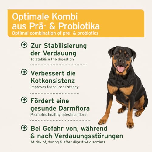 AniForte Plus Probiotikum Tabs für Hunde 90 Stück - Natürliche Präbiotika & Probiotika für Hunde, Stabilisiert die Verdauung & fördert eine gesunde Darmflora, mit aktiven Darmbakterien