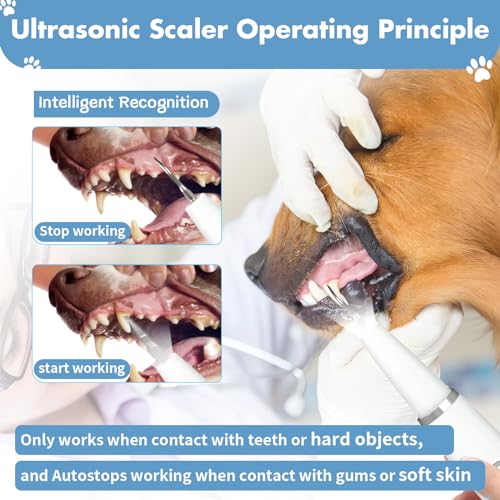 Plaque Remover for Teeth Dog Teeth Cleaning Kit for Tartar Stains Removal Electric Pet Ultrasonic Tooth Cleaner with Led Light Finger Toothbrush Dental Care for Dog Cat 5 Modes white  Cucciolini Doodles Plaque remover for teeth dog teeth cleaning kit for tartar stains removal electric pet ultrasonic tooth cleaner with led light finger toothbrush dental care for dog cat 5 modes white   cucciolini doodles
