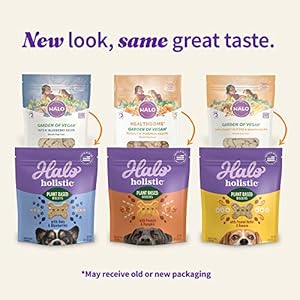 Halo plant based mostly canine treats selection pack oats  blueberries peanut butter  banana peanuts  pumpkin vegan canine deal with pouch 8oz bag 3 depend   cucciolini doodles