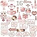 16th Birthday Party Photo Booth Props and Signs, Rose Gold 16 Birthday Party Selfie Props Kit with Sticks for Girls Women, Sweet Sixteen 16th Happy Birthday Party Decorations Supplies Favors