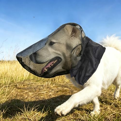 Foxtail Mask for Dogs Field Net Guard Dog Foxtail Protection Hood for Dogs Prevent Foxtails Thorns Rocks Insects Dog Face Guard for Hiking Outdoor Adventures (Black Medium)