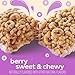 Cheerios Protein Chewy Bars, Snack Bars, Mixed Berry, 5 Ct, 6.35 oz