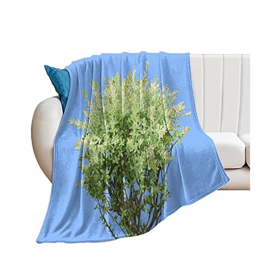 Mode anti-allergisk flanellfilt original design krukväxter blommor kunskap bilder kastar för Famlily pojkar flickor vänner födelsedag jul före