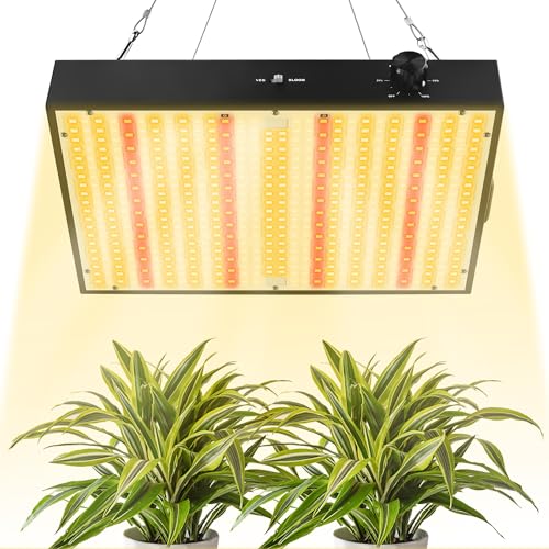 33+ Best Grow Lights for Succulents of 2021 (That Works GREAT!)
