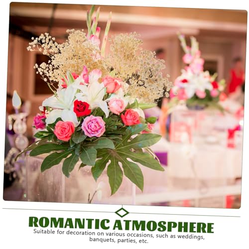 Ramo de flores secas Gypsophila preservadas blancas miniatura 6