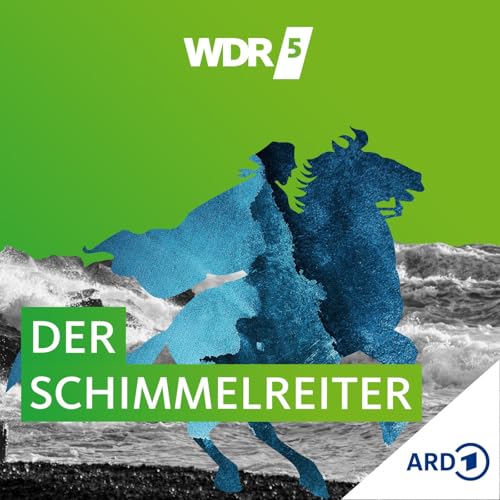 WDR 5 Der Schimmelreiter - Hörbuch Podcast Por WDR 5 arte de portada