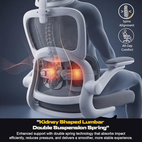 Image of DROGO Vesby Ergonomic Office Chair for Work with Dual Adaptive Lumbar Support | Breathable Mesh Computer Chair with 3D Headrest & Armrest | Gaming Chair with 135 Recline, 1-Yr Warranty(LightGrey)