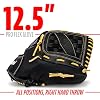 Franklin Sports Baseball Glove - Proflex Adult Baseball + Softball Glove - Outfield + Infield Mitt - Right and Left Handed Throw - Camel