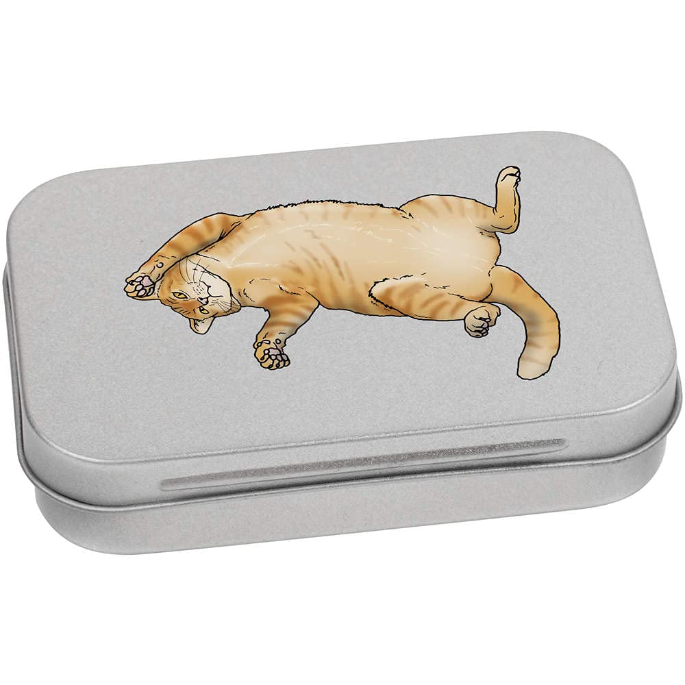 Azeeda 95mm 'Chubby Ginger Cat' Metal Hinged Tin/Storage Box (TT00147922)