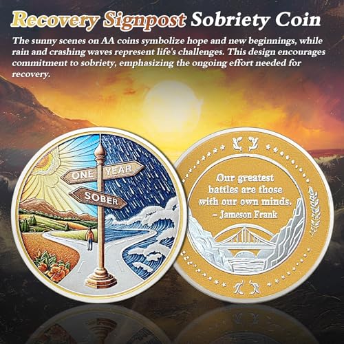 original one year sobriety coin - reborn from storm aa coins - 1 year aa chips and medallions - 1-10 years na aa celebrate recovery addicts - narcotics alcoholics anonymous gifts for men women