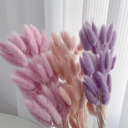 Pampas Grass Decor Tall 60Pzs Flores Secas miniatura 4