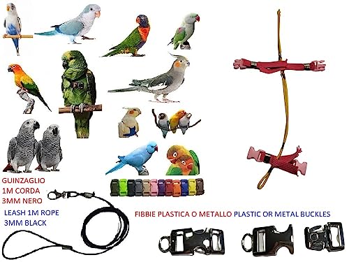 Arnés para caique con cuerda elástica de 3 mm amarilla y conector regulable 4