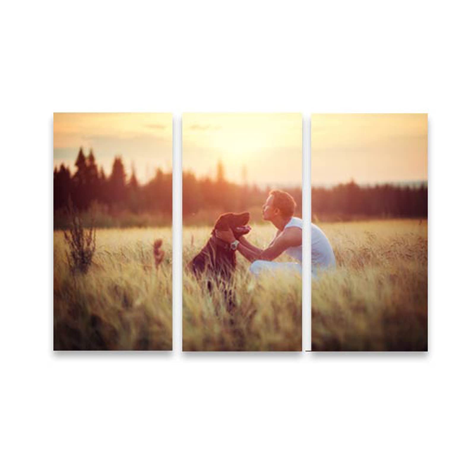andisi Impresiones en lienzo personalizadas con tus fotos, 3 paneles, pieza de arte de pared personalizada, lienzo para sala de estar, boda, bebé, mascota, familia, decoración navideña del hogar (40 x