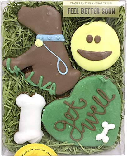 Best Get Well Gift For Dog