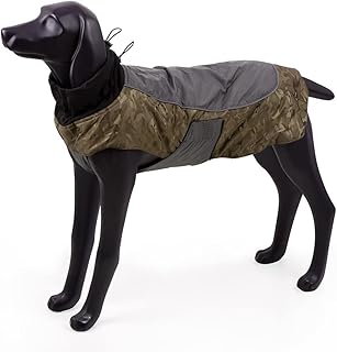 Blackdoggy Warmer Hundemantel, Regenmantel, wasserfest, mit reflektierendem Rand und Leinenaussparung, für kaltes Wetter, Herbst/Winter product image