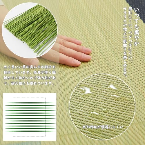 い草 ラグ ござ カーペット 191x250cm 厚手 ウレタン入り ふっくら 滑り止め付き 裏貼り クッション 和風 モダン おしゃれ 紋織 縁付き ブルー 抗カビ [4]