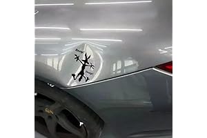 Wiley Coyote Dent Decal: A Cartooned Consequence of Wall-Hitting Shenanigans