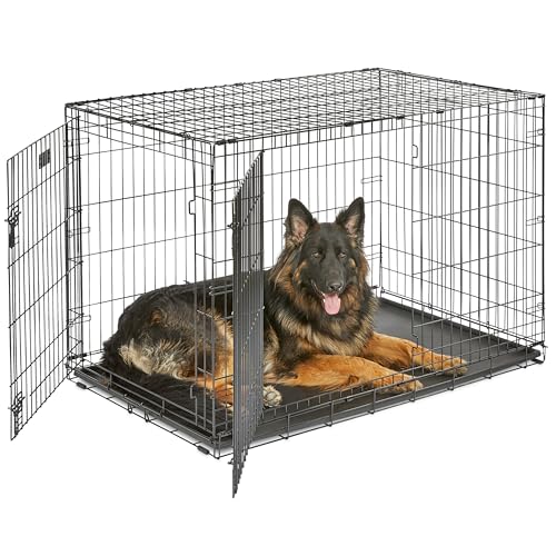 MidWest Homes for Pets 48-Inch iCrate for Extra-Large Breeds, 90-110 lbs, Double Door...