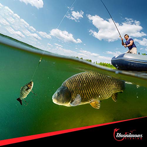 unanimous fishing Bass Lures Kit – 4 Lifelike 3D Fish Baits with BKK Treble Hooks for Saltwater and Freshwater Angling – Includes 1 Jointed Swimbait, 1 Topwater Popper and 2 Crankbaits (Orange)