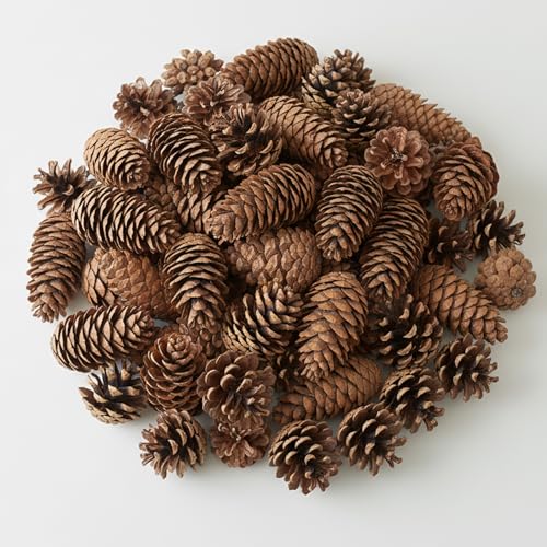 KRYMXAR 100 Tannenzapfen Dekoration, Tannenzapfen Zum Basteln,...