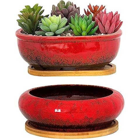 ARTKETTY Succulent Pots, 1 Rectangle Planter + 1 Ceramic Bonsai Pot with Drain Tray, 2 Pack Large Shallow Succulent Planters for Indoor Plants, Round Cactus Flower Plant Pot for Desk Windowsill Decor Cover