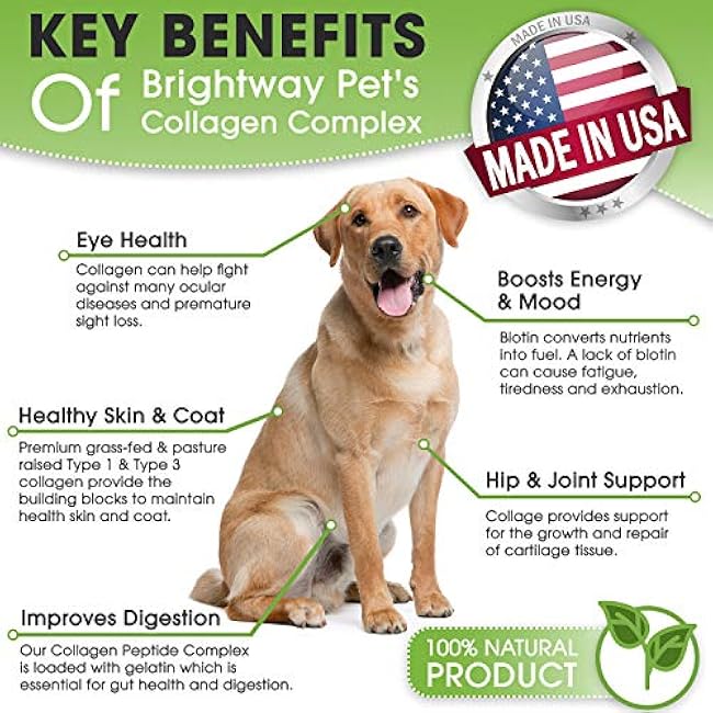 K9 Collagen PEPTIDE Complex W/BIOTIN - Hip & Joint Supplement for Dogs- Supports Healthy Joints, Skin & Coat ¨C Helps in Recovery & Repair¨C 3+ Months Supply - Over 114 Servings!-rC1Nyxbs