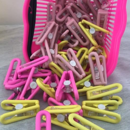 Prendedores Multiuso para Roupas, Plástico, 50 Unidades + 1 Pote
