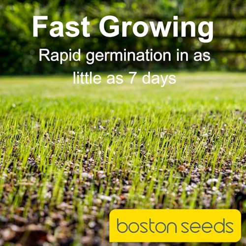 Boston Seeds Fast Growing Grass Seed - Hard Wearing Grass Seeds in Various Weights. Rapid Germination Seeds for Lawns & Landscapes (Eco - 20Kilogram)