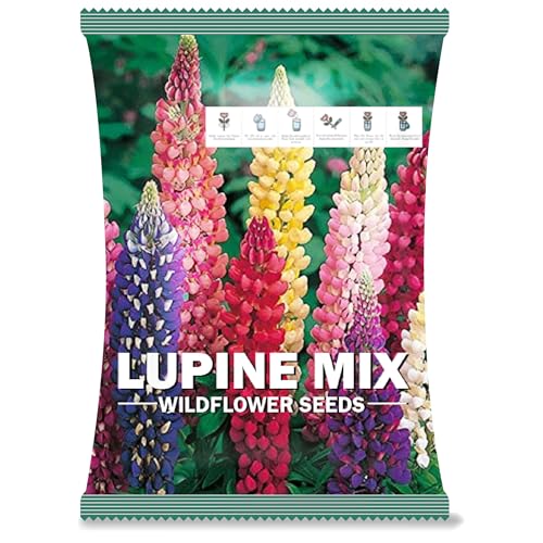 Lupine Flower Seeds for Planting | Summer Seeds for Growing in Garden