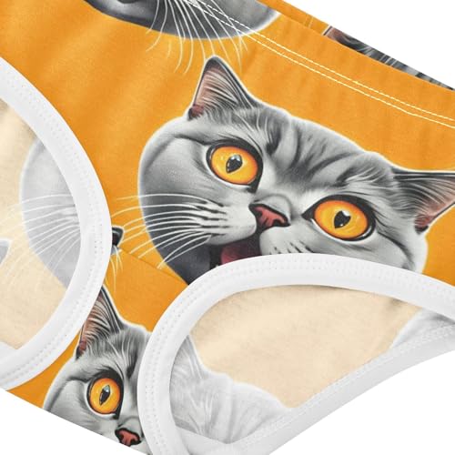 Designer Toddler Underwear Floral 2t Cotton Cute Panties Girl Cute Cat Faces Orange Animal Briefs Undies Kids4
