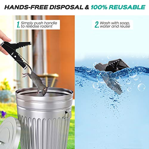 Large Powerful Rat Traps (24 Pack) - Kills Instantly With Powerful Steel Spring - Setup In Seconds - Wash & Reuse Over & Over - Hands Free Disposal - Rat Control Without Harmful Poisons Or Chemicals #TOP3