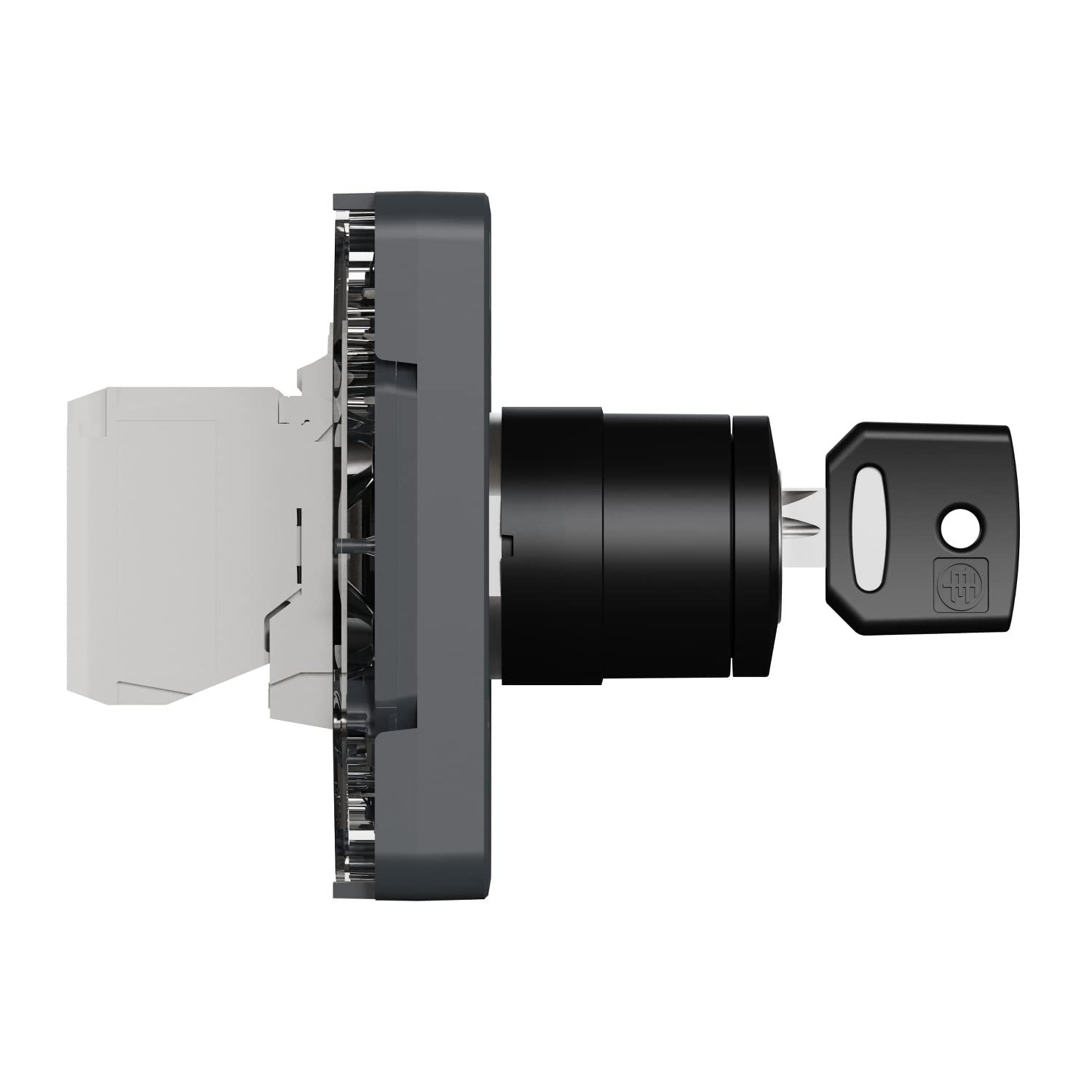 Schneider Electric Interruptor de llave 2 posic. IP55 Gris