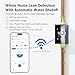 Frizzlife LP365-P Smart Water Monitor and Automatic Shutoff - 0.01 GPM Ultrasonic Micro Leak Detection, Wi-Fi / APP Control, Pressure+Flow Monitoring, 24/7 Water Usage Reports, Fits 3/4