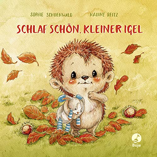 Schlaf schön, kleiner Igel (Mini-Ausgabe): Eine süße Abenteuergeschichte...