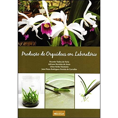 Producao De Orquideas Em Laboratorio