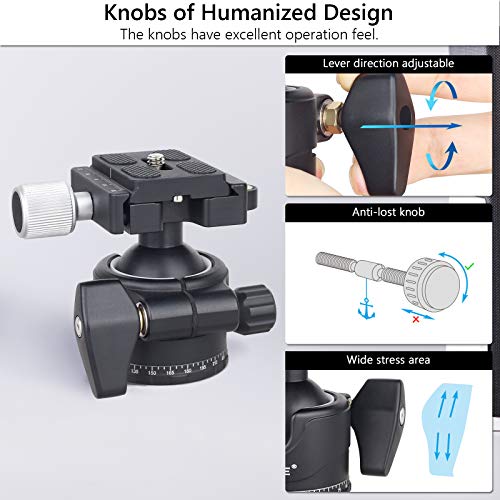 Testa a sfera a basso profilo Stabilità Testa