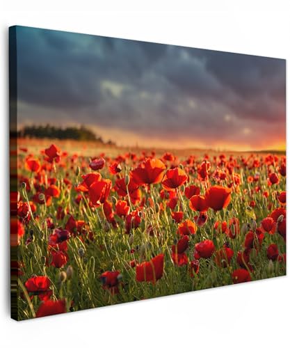 MuchoWow© Impressions sur Toile 70x50 cm Deco Tableau Murale Decoration Salon Peinture Tableaux Chambre Toiles Maison Coucher de soleil - Coquelicots - Rouge...